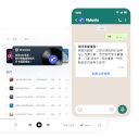 WhatsApp Body1 1
