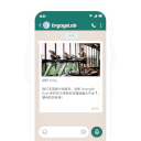 WhatsApp Body2 6